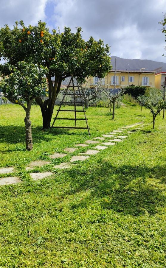 Hotel La Famiglia à Pollena Trocchia Extérieur photo
